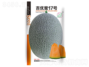 ������17̖-��ϷN��-���S�N�I