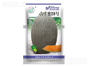 ���S��28̖-��ϷN��-���S�N�I