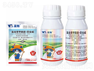 20%���x�������������x��-�{؈�ǻ�