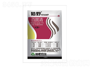 75%�پ���ɝ��Էۄ�-�Ұ�r(n��ng)��