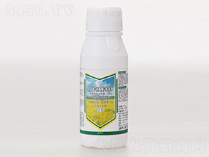 48%���ݰ������fͪ�����݃�-ˮ?d��ng)?�L(zh��ng)�p�r(n��ng)ˎ