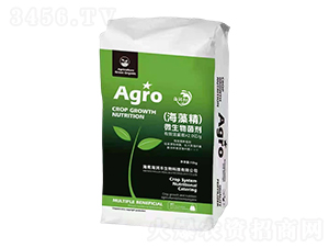 (���徫)΢�������-�����S