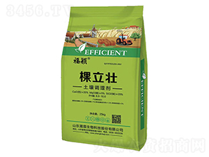 �����������{�턩-��������