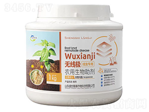 �o���O���x����-ʢ��¡��