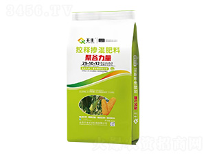 ���׌��ÿ�ጓ������29-10-12-�۹�����-ǧ�S�r�I