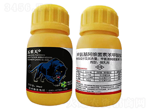 ���x���z�x����ˎ-������-Ȥ�r�r�I