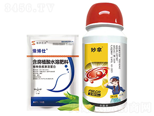 ����+ԥ����-�S�՘�(l��)