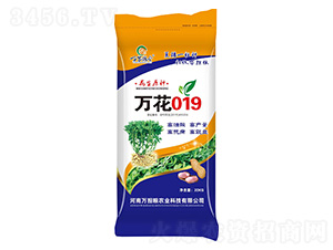 �f��019-�����N��-�f���Z