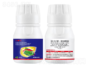 10%���x����ʭ����Ҹ�����40�ˣ�-���ؾ�-Ȥ�r�r�I