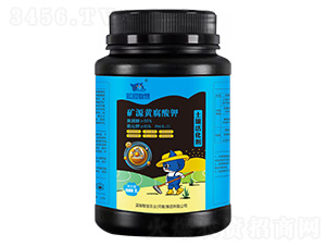 �VԴ�S������������-�{؈�ǻ�