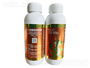 14-�u���|̦���޴�-�|̩��-�G������