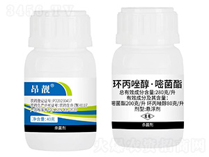 280��/���h���򴼡��׾���-���n-���N�r�I