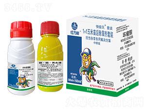 1+1���������݄����b-��O��-�t�f��-�l�弾�L-���˹����r�� 