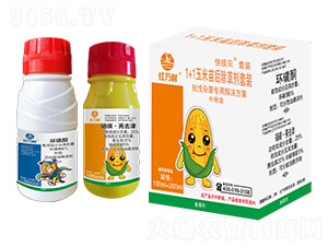 1+1���������݄����b-��O�����b-�t�f��-�l�弾�L-���˹����r�� 