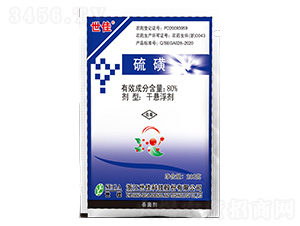 80%���-����