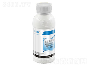 40%��ȩ�׭h��-�\֮��ʢ-����