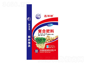 ������ͺϷ���20-10-10-�����-�ζ�ͥ���ʘI