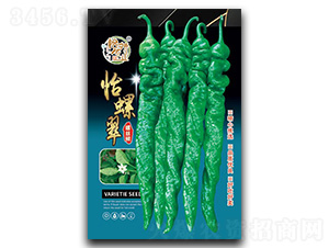 ���ݴ�-�����N��-�����r�I