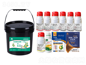 С�������ײͣ�ʮ��һ��-�l�弾�L