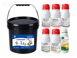 С�������ײͣ�����һ��-�l�弾�L