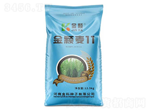 ���w��11-���w-�����r�I