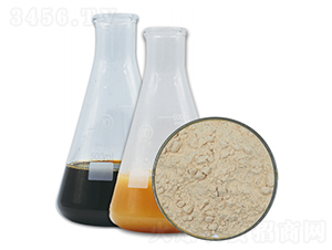 γ-PGA聚谷氨酸-九肽生物