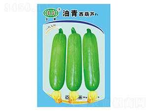 ���������J-�f��N�I