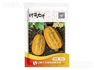 ���S-�����J�N��-���S�N�I