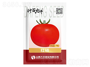 �t�T-���ѷN��-���S�N�I