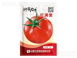 �t�M��-���ѷN��-���S�N�I