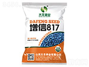 ����817-���׷N��-���S�N�I