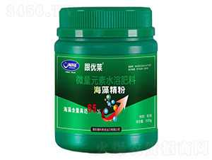 ���徫��-������