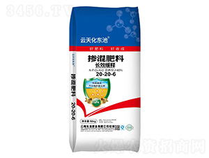 �\�����͓������20-20-6-�|�طʘI