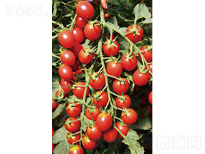 �hķ1507-���ѷN��-�͝��r�I