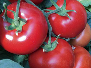 �hķ�t�\-���ѷN��-�͝��r�I