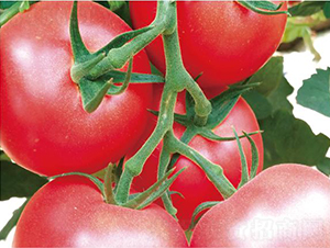 �hķ097-���ѷN��-�͝��r�I