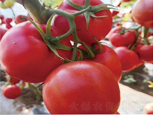 ������2155-���ѷN��-�͝��r�I