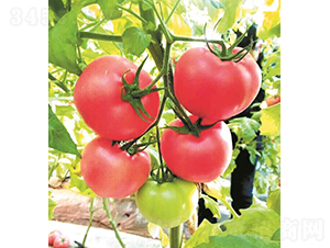 �hķ-17-���ѷN��-�͝��r(n��ng)�I(y��)