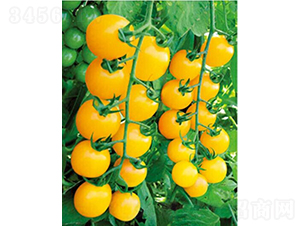 1502-���ѷN��-�͝��r(n��ng)�I(y��)