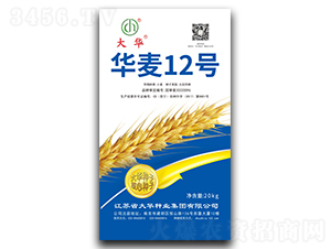 �A��12̖-С���N��-���A�N�I(y��)