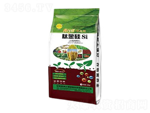 �����{�턩-�Ľ��-��������ޏ�