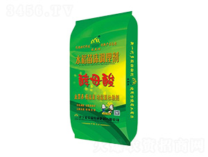 ˮ���紲�{�턩-��ĸ��-������