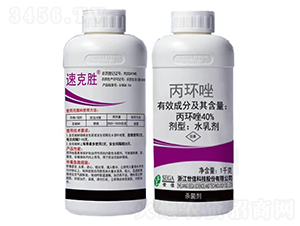 40%���h��ˮ�鄩-�ٿ˄�-����