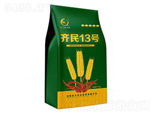 齊民13號-小麥種子-上之品