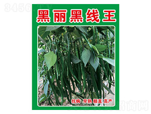 �����N��-�����ھ���-���S�r�I