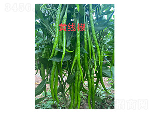 �S���������N��-���S�r�I