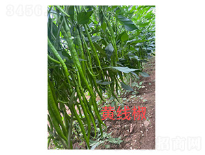 �S����-�����N��-���S�r�I