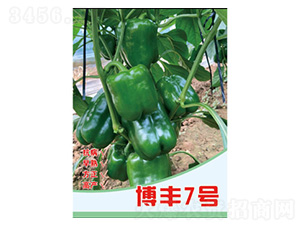 �����N��-���S7̖-���S�r�I