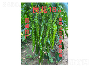 �����N��-����18-���S�r�I