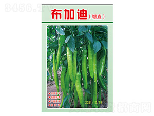 �����N��-���ӵϣ���ֱ��-���S�r�I